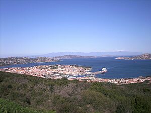 Palau vista panoramica.jpg