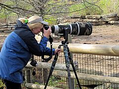 Photographer at Kansas City Zoo, Missouri, USA-5Nov2011