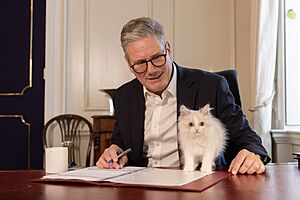 Prime Minister Keir Starmer is joined by family kitten, Prince (54012733095)