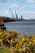 River Clyde Looking Towards King George V Dock - geograph.org.uk - 372544