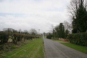 Road in Palestine (Hampshire) - geograph.org.uk - 144789
