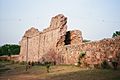 Ruins of Siri Fort wall, New Delhi, India - 20090517