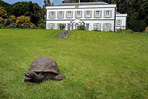 Saint-Helena-Plantation-House-Jonathan-the-Tortoise-by-kevin-gepford