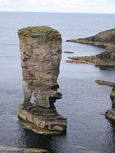 Sea stack near Yesnaby on Orkney mainland - geograph.org.uk - 35405