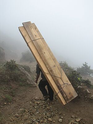 Sherpa carrying woods