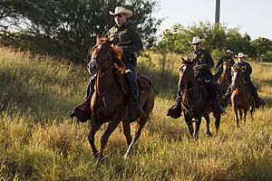 South Texas, Border Patrol Agents, McAllen Horse Patrol Unit (11933914763)