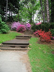 Stairshighlandparkrochester2001