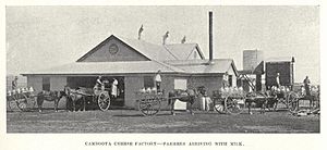 StateLibQld 1 240047 Farmers arriving with milk at the Cambooya Cheese Factory, ca. 1913