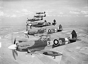 Supermarine Spitfire F Mk XIIs of 41 Sqn