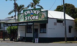 SwampStore1