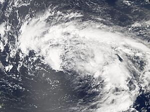 TS Florence 07sept 2006