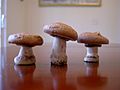 Three meringue mushrooms standing on a table