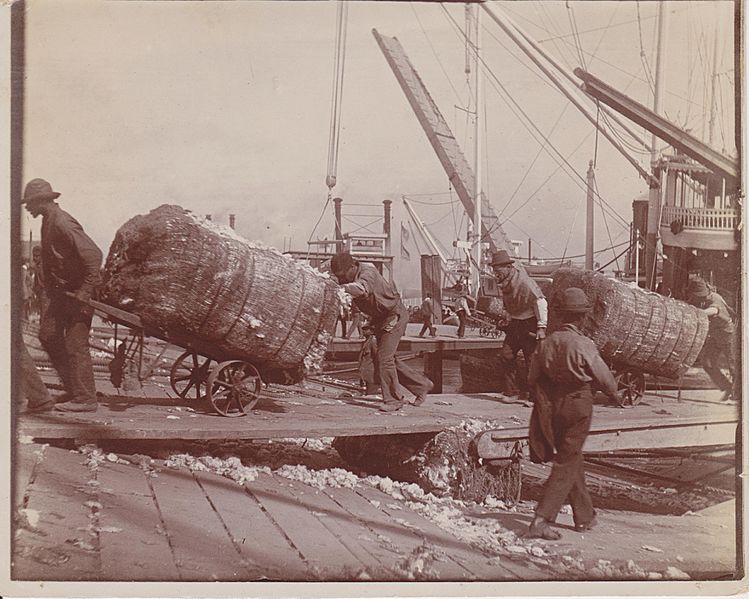 Unloading cotton from steamboat 001