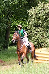 WPT2013-CIC3-Orelli Andrea-Inistioge Ohio-3