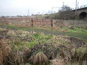 Walthamstow Marshes - geograph.org.uk - 93325