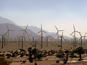 Windmill Field outside Palm Springs, California