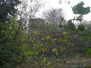 Windmill hidden amongst the trees - geograph.org.uk - 1036240