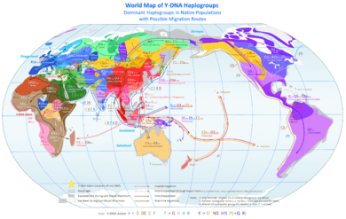 World Map of Y-DNA Haplogroups