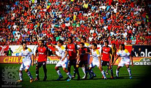Xolos morelia-0255