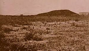 Yauco Battlefield 1898