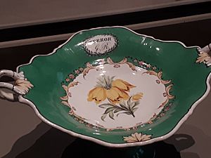 Yellow flower plate from HMS Terror