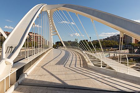 15-10-28-Pont Bac de Roda Barcelona-RalfR-WMA 3102