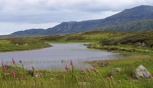 A corner of Loch Druidibeg (geograph 3065676)