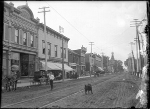 A dog on the street in front of G. D. Atkinson Flour & Feed 208 Pitt St Cornwall ca. 1908 (I0013581)f