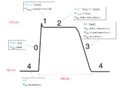 Action potential ventr myocyte