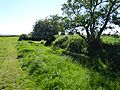 Aldeburgh Hall Pit 5