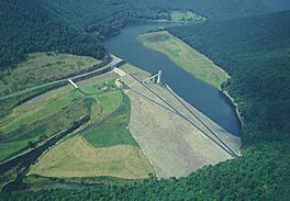 Alvin R. Bush Dam, Pennsylvania.jpg