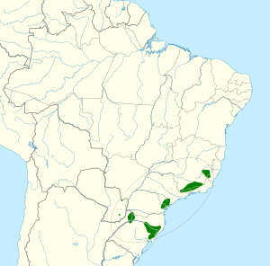 Amazona vinacea map.svg