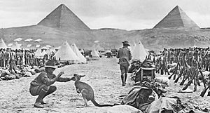 Australian 9th and 10th battalions Egypt December 1914 AWM C02588