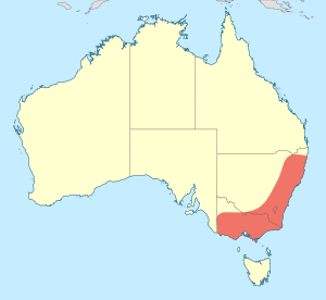 Austroaeschna subapicalis distribution map.svg