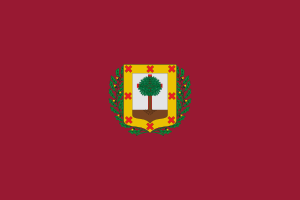 Bandera de Vizcaya 2007