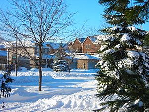 Barrie Condos and Houses in Winter