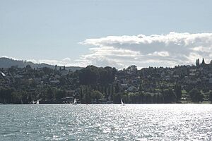 Beinwil am See vom See aus