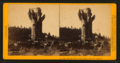 Big Oak, circum. 36 ft. at Big Oak Flat, - Tuolumne Co, by John P. Soule