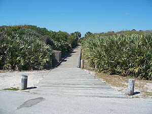 CNS Turtle Mound walkway01