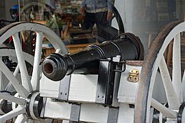 Cannon at Fort Morris, GA, US