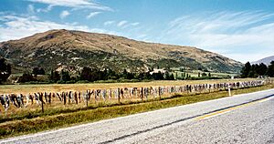 Cardrona bra fence
