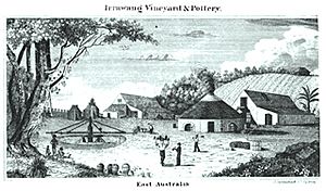 Carmichael Irrawang Vineyard and Pottery 1839