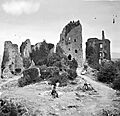 Carrigogunnell Castle Ruin tower and house adjoining other walls