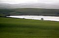 Creoch Loch - detail