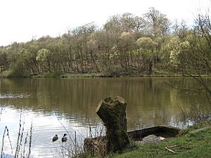 Cumberledge Pool, Deep Hayes Country Park - geograph.org.uk - 1230142.jpg