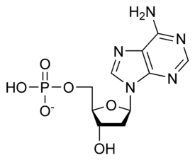 DAMP chemical structure