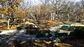 Dorchester Park Boston MA