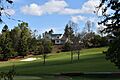 Fairway, Los Altos, CA March 2024