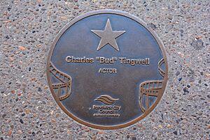 Film Walk of Fame Ritz Cinema Sydney 028