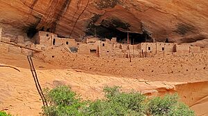 Final approach,Keet Seel - Kawestima Navajo National Monument